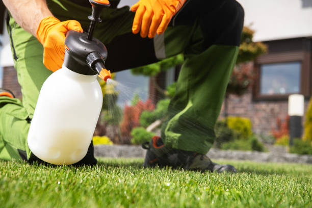 Best Bird Control  in Sherwood, WI