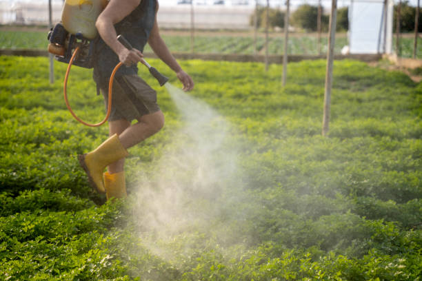 Best Pest Prevention Services  in Sherwood, WI