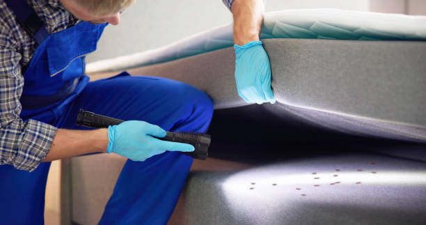 Best Cockroach Control Services  in Sherwood, WI