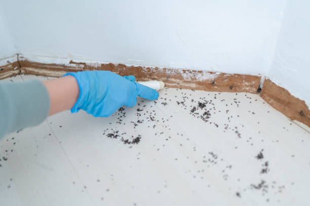 Best Exterminator Services  in Sherwood, WI
