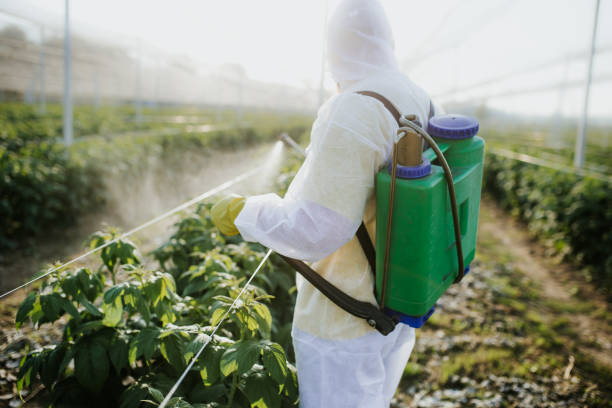 Flea Control Services in Sherwood, WI